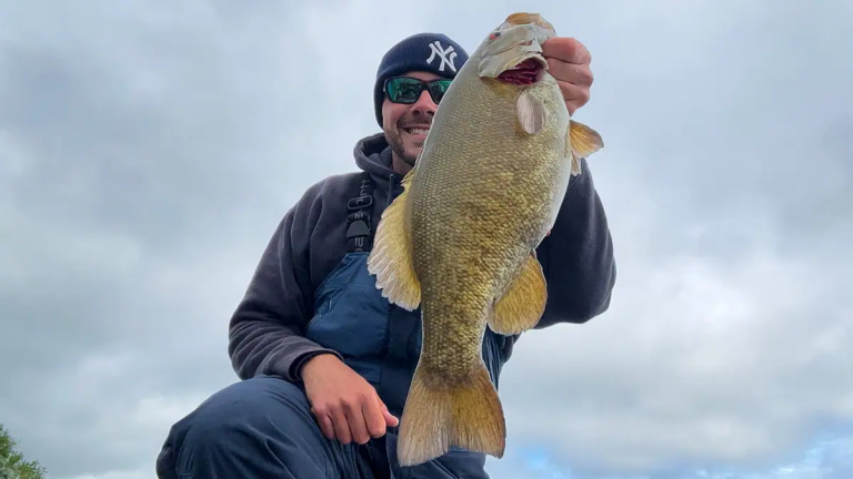 Trust, Fast-Paced Play, and Responsible Fish-Shooting Habits